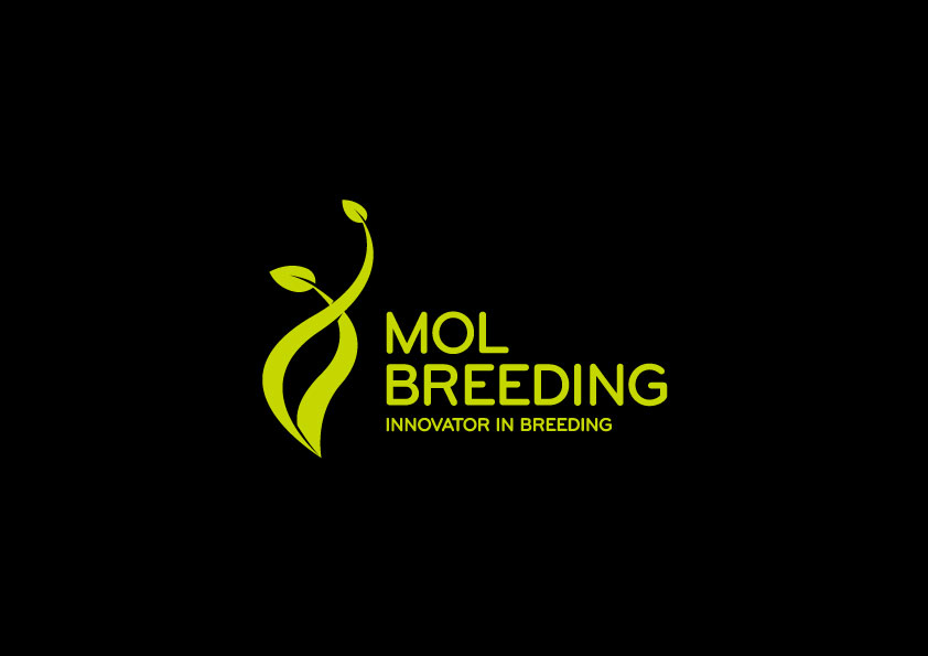 知造™作品 | MolBreeding品牌标志